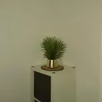 Fuenf A Fürth